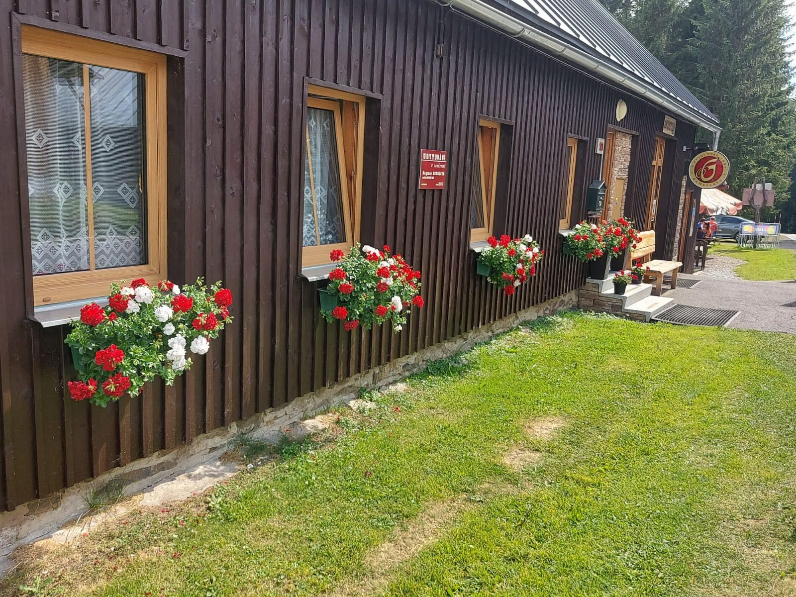 Muškáty pod okny penzionu